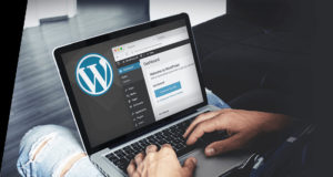 Hosting optimizado para WooCommerce Fuente de la imagen: 20i.com